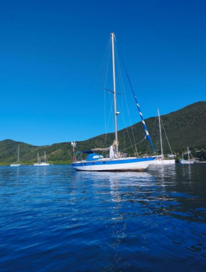 Reves d'antilles dormir sur l'eau au milieu des tortues